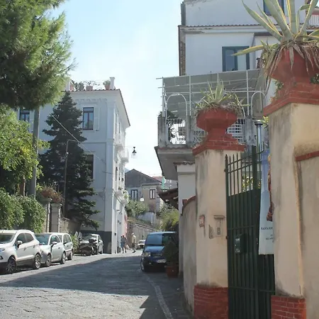 Apartament Lady Cristina *